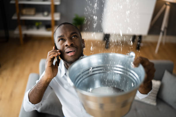Best Local water damage restoration  in Oxon Hill, MD