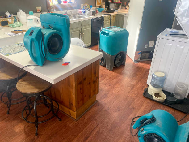 Best Carpet water damage restoration  in Oxon Hill, MD