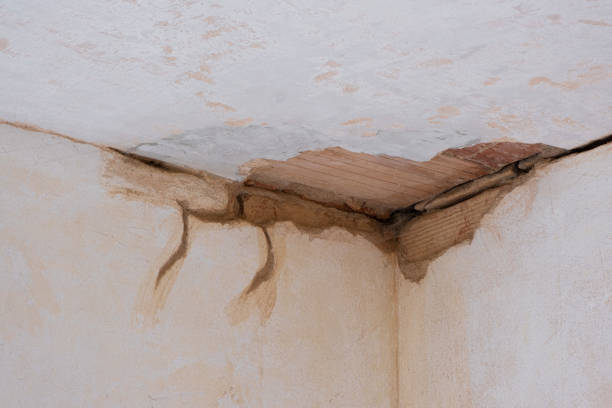 Best 24-hour water damage restoration  in Oxon Hill, MD