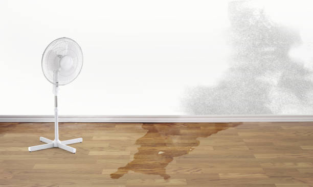 Best Emergency water extraction  in Oxon Hill, MD