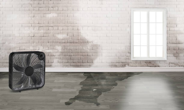 Best Sewage cleanup and water damage restoration  in Oxon Hill, MD
