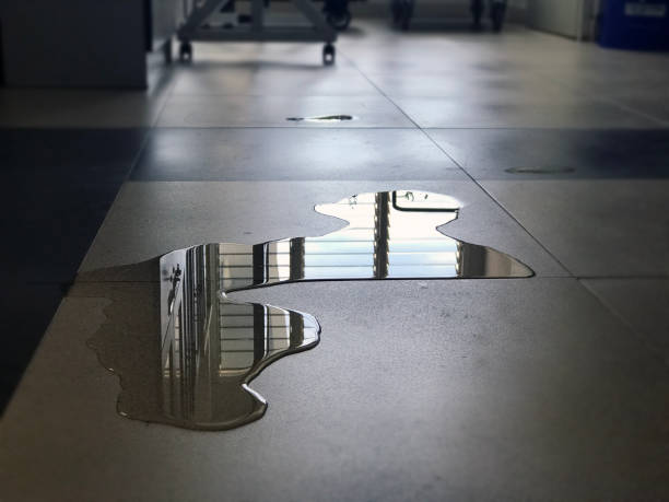 Best 24/7 water damage repair  in Oxon Hill, MD