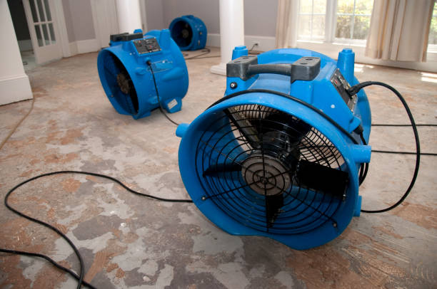Best Ceiling water damage repair  in Oxon Hill, MD