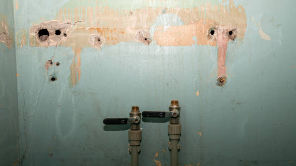 Best 24-hour water damage restoration  in Oxon Hill, MD