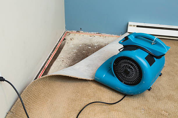 Best Commercial water damage restoration  in Oxon Hill, MD